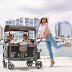 WONDERFOLD W2 Luxe Double Stroller Wagon